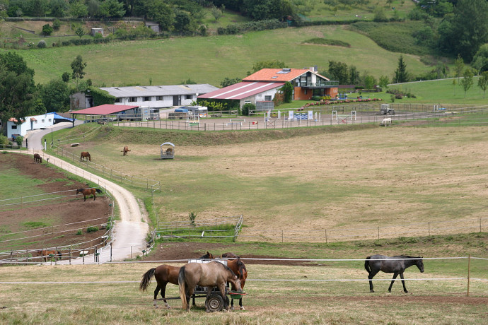 Los pastos de Hipica Porceyo