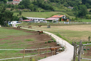 Hipica Porceyo Pastos y Caballos Hipica Porceyo